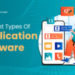 What is Application Software? Types & Examples